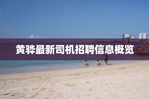 黃驊最新司機(jī)招聘信息概覽