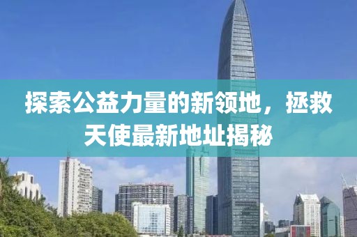 探索公益力量的新領(lǐng)地，拯救天使最新地址揭秘