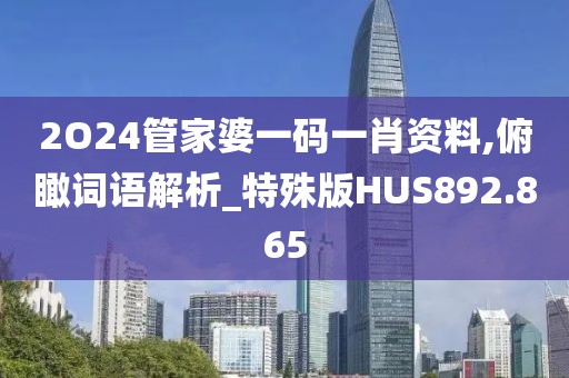 2O24管家婆一碼一肖資料,俯瞰詞語解析_特殊版HUS892.865