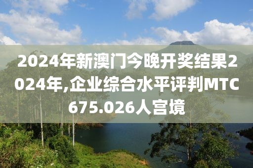 2024年新澳門今晚開獎結(jié)果2024年,企業(yè)綜合水平評判MTC675.026人宮境