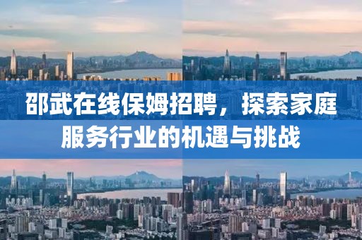 邵武在線保姆招聘，探索家庭服務(wù)行業(yè)的機(jī)遇與挑戰(zhàn)