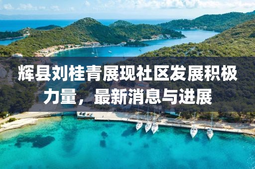 輝縣劉桂青展現(xiàn)社區(qū)發(fā)展積極力量，最新消息與進(jìn)展