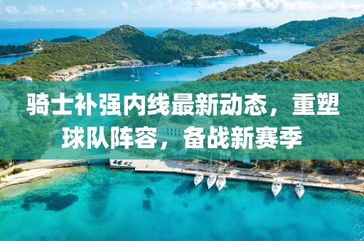 騎士補(bǔ)強(qiáng)內(nèi)線最新動(dòng)態(tài)，重塑球隊(duì)陣容，備戰(zhàn)新賽季