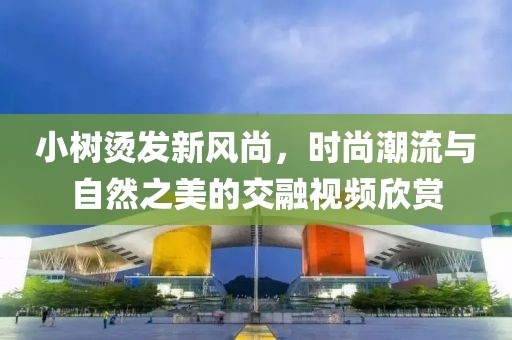 小樹(shù)燙發(fā)新風(fēng)尚，時(shí)尚潮流與自然之美的交融視頻欣賞