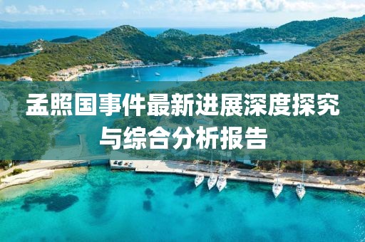 孟照國事件最新進展深度探究與綜合分析報告