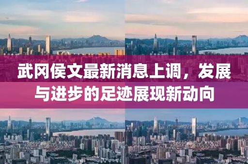 武岡侯文最新消息上調(diào)，發(fā)展與進(jìn)步的足跡展現(xiàn)新動(dòng)向
