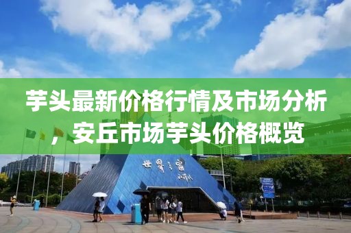 英洛華最新消息全面解析與更新
