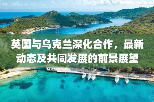 英國與烏克蘭深化合作，最新動態(tài)及共同發(fā)展的前景展望