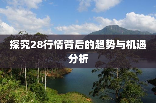 探究28行情背后的趨勢與機遇分析