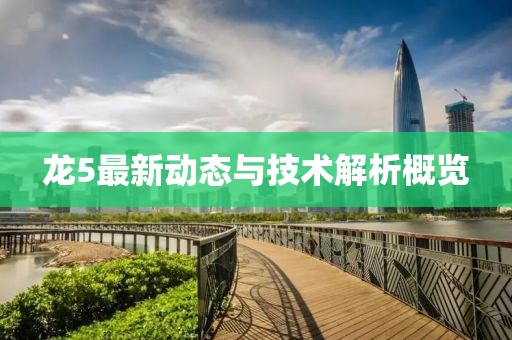 龍5最新動態(tài)與技術解析概覽