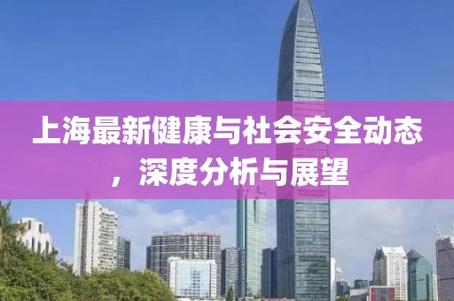 上海最新健康與社會安全動態(tài)，深度分析與展望