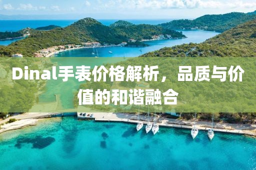 Dinal手表價(jià)格解析，品質(zhì)與價(jià)值的和諧融合