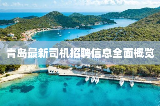 羊羊羊奶粉價(jià)格查詢?cè)斀猓嬷改吓c選購(gòu)建議