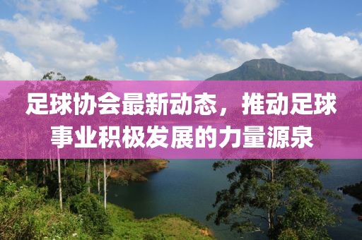 足球協(xié)會最新動態(tài)，推動足球事業(yè)積極發(fā)展的力量源泉