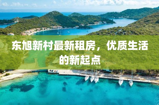 西安市人事任命最新公告概覽與解讀