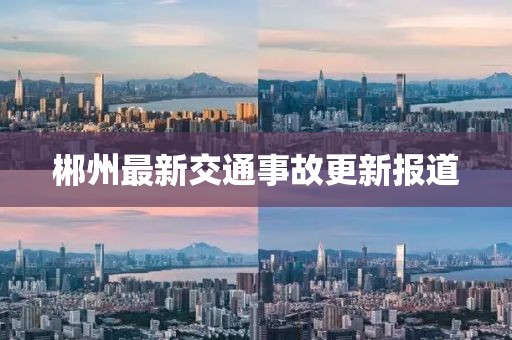 郴州最新交通事故更新報(bào)道
