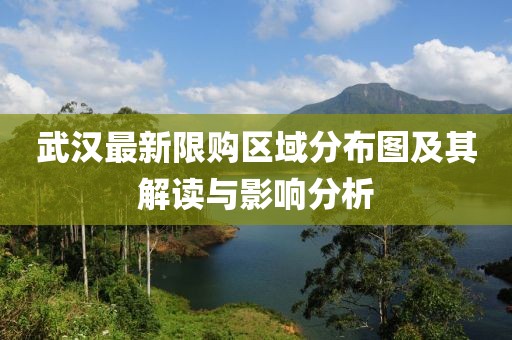 武漢最新限購區(qū)域分布圖及其解讀與影響分析