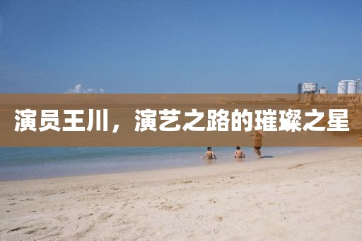 演員王川，演藝之路的璀璨之星