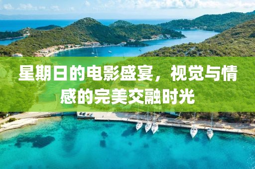 星期日的電影盛宴，視覺(jué)與情感的完美交融時(shí)光