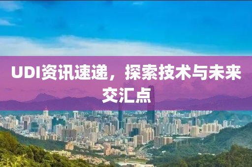 UDI資訊速遞，探索技術(shù)與未來(lái)交匯點(diǎn)