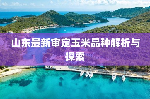 最新展示技術(shù)重塑行業(yè)未來，引領(lǐng)展示新潮流