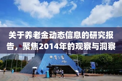 關于養(yǎng)老金動態(tài)信息的研究報告，聚焦2014年的觀察與洞察