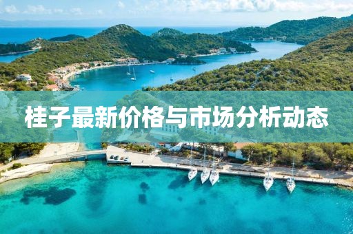 桂子最新價格與市場分析動態(tài)