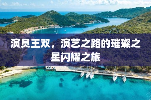 演員王雙，演藝之路的璀璨之星閃耀之旅