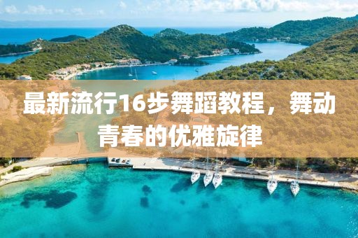 最新流行16步舞蹈教程，舞動(dòng)青春的優(yōu)雅旋律