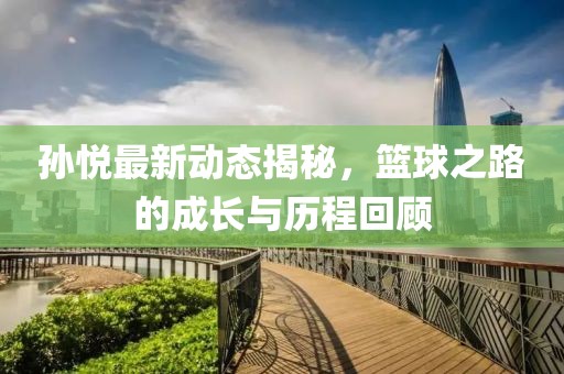 孫悅最新動(dòng)態(tài)揭秘，籃球之路的成長與歷程回顧