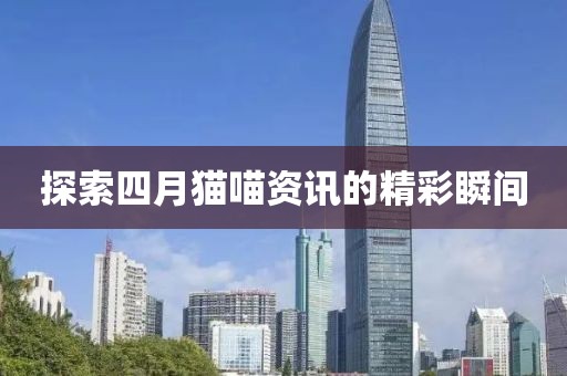探索四月貓喵資訊的精彩瞬間