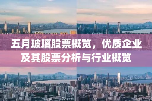 五月玻璃股票概覽，優(yōu)質(zhì)企業(yè)及其股票分析與行業(yè)概覽