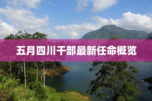 五月四川干部最新任命概覽