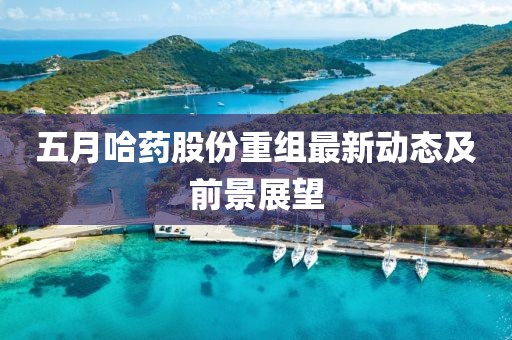五月哈藥股份重組最新動態(tài)及前景展望
