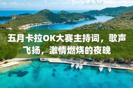 五月卡拉OK大賽主持詞，歌聲飛揚(yáng)，激情燃燒的夜晚