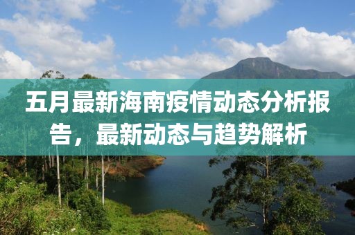 五月最新海南疫情動(dòng)態(tài)分析報(bào)告，最新動(dòng)態(tài)與趨勢(shì)解析