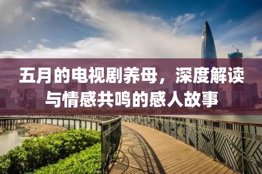 五月的電視劇養(yǎng)母，深度解讀與情感共鳴的感人故事