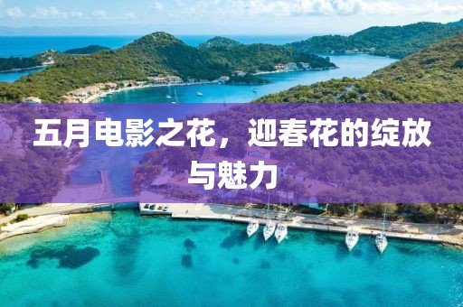 五月電影之花，迎春花的綻放與魅力