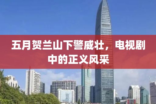 五月賀蘭山下警威壯，電視劇中的正義風(fēng)采