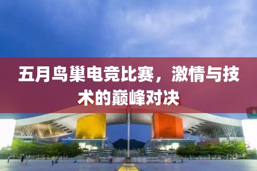 五月鳥巢電競比賽，激情與技術的巔峰對決