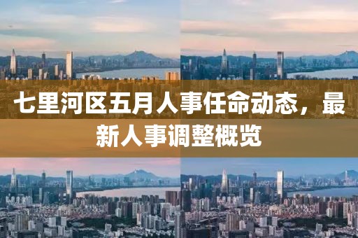 七里河區(qū)五月人事任命動態(tài)，最新人事調(diào)整概覽