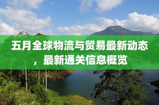 五月全球物流與貿(mào)易最新動態(tài)，最新通關(guān)信息概覽
