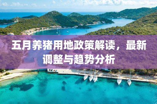 五月養(yǎng)豬用地政策解讀，最新調(diào)整與趨勢分析