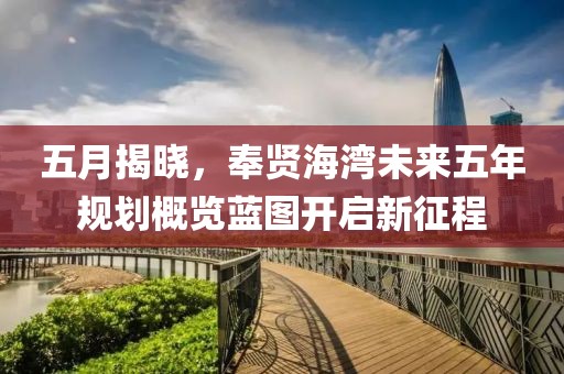 五月揭曉，奉賢海灣未來五年規(guī)劃概覽藍圖開啟新征程