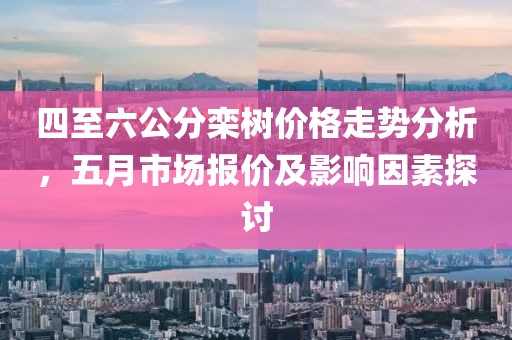 四至六公分欒樹價格走勢分析，五月市場報價及影響因素探討