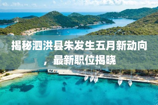 揭秘泗洪縣朱發(fā)生五月新動(dòng)向，最新職位揭曉