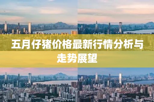 五月仔豬價(jià)格最新行情分析與走勢(shì)展望