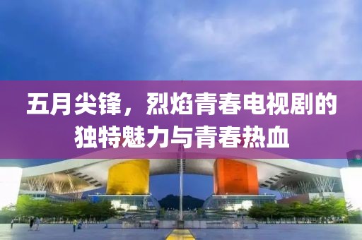 五月尖鋒，烈焰青春電視劇的獨(dú)特魅力與青春熱血