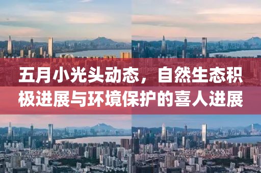 五月小光頭動(dòng)態(tài)，自然生態(tài)積極進(jìn)展與環(huán)境保護(hù)的喜人進(jìn)展