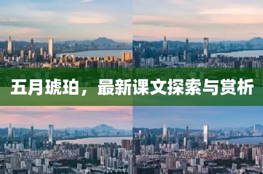五月琥珀，最新課文探索與賞析